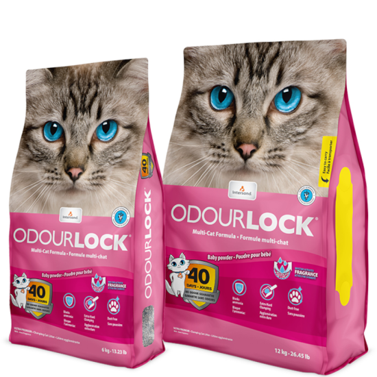 Intersand Odourlock Baby Powder Άμμος Γάτας 6kg
