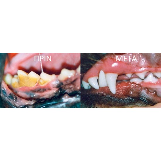Proden Plaque Off Σκόνη Για Σκύλους 60gr